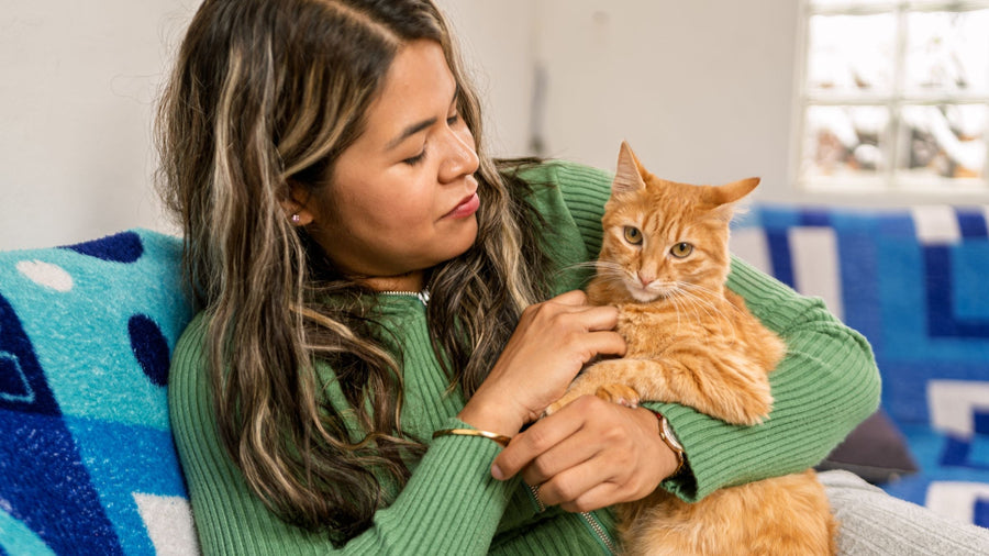 Kenapa Kita Bisa Sangat Mencintai Kucing? Ini Penjelasan Ilmiahnya!