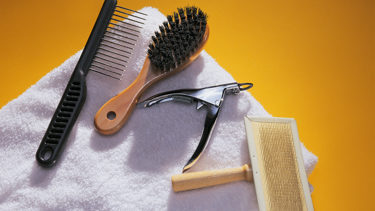 7 Alat Grooming Hewan Peliharaan yang Wajib Dimiliki di Rumah