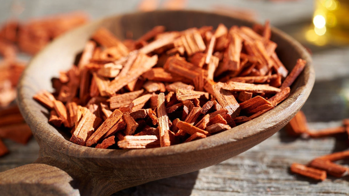 Aroma Sandalwood Seperti Apa? Kenali Wangi dan Ciri Khasnya