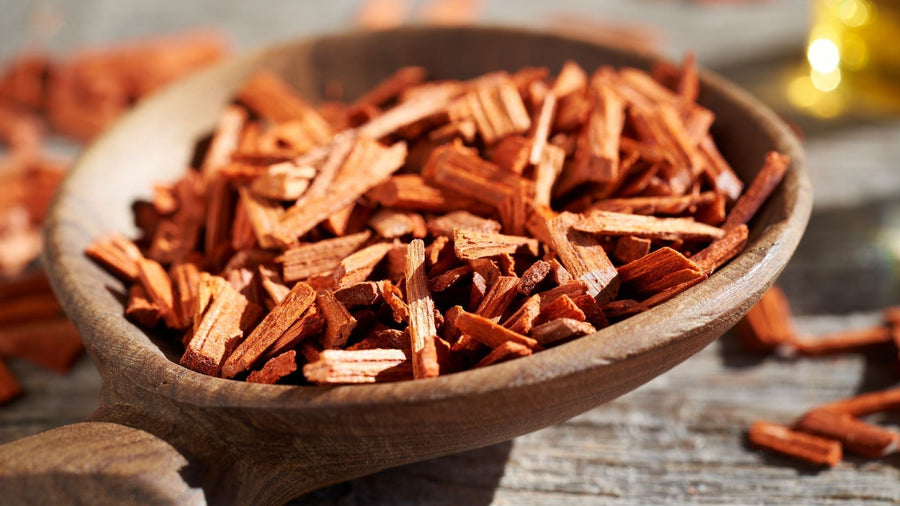 Aroma Sandalwood Seperti Apa? Kenali Wangi dan Ciri Khasnya
