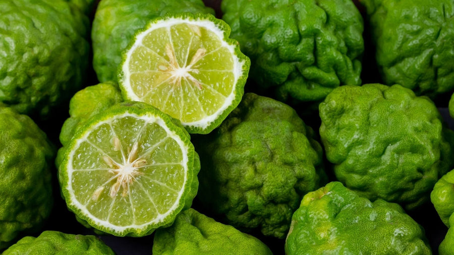 Mengenal Apa Itu Bergamot, Karakteristik & Ragam Manfaatnya