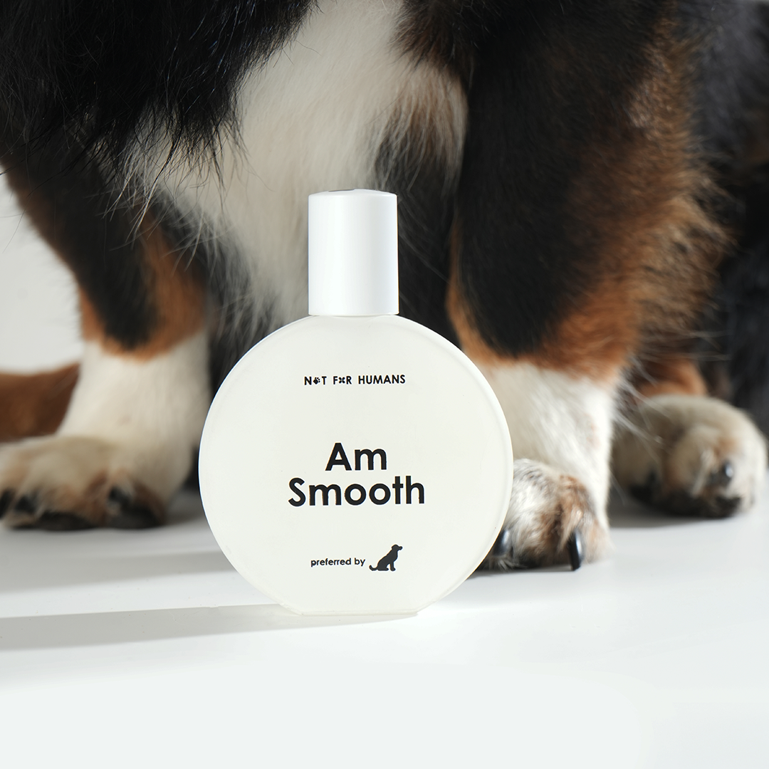 Not For Humans Am Smooth 50 ml