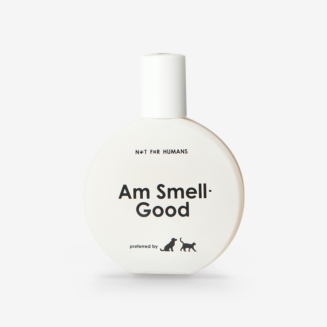 Not For Humans Am Smell Good 50 ml