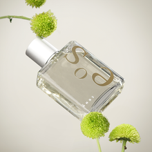 Load image into Gallery viewer, HMNS Essence of The Sun Eau De Parfum 100 ml