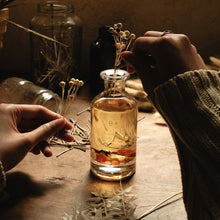 Load image into Gallery viewer, HOME of HUMANS A Much Lively Living Room Reed Diffuser 140 ml