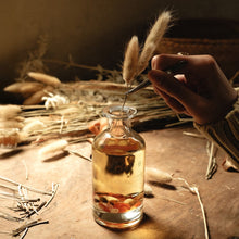 Load image into Gallery viewer, HOME of HUMANS A Much Lively Living Room Reed Diffuser 140 ml