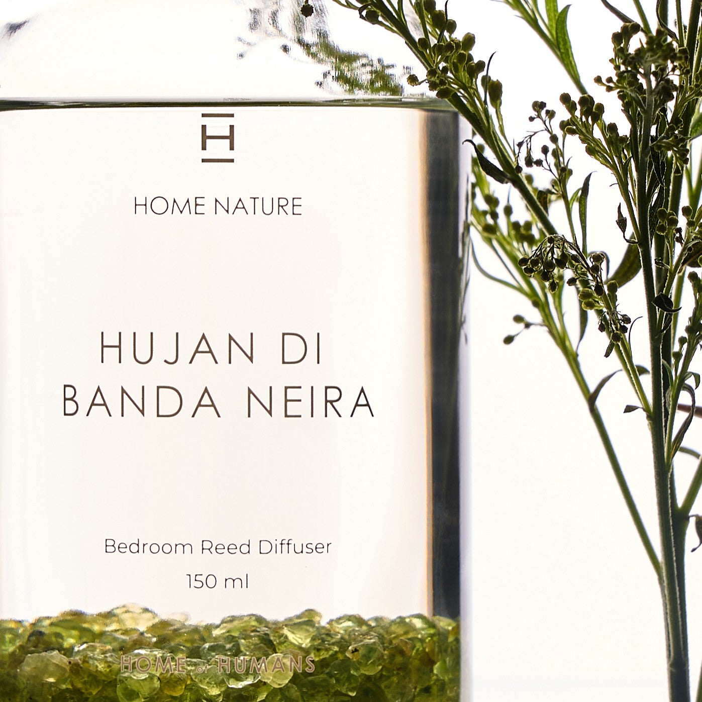 HOME OF HUMANS Hujan di Banda Neira Bedroom Diffuser 150 ml